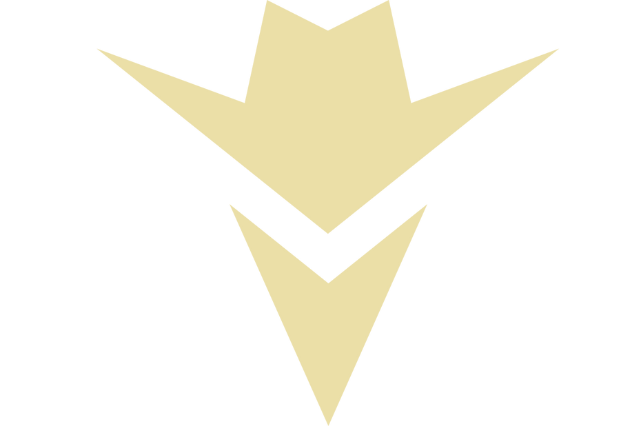 Free Shipping on orders over 50 inside the USA!