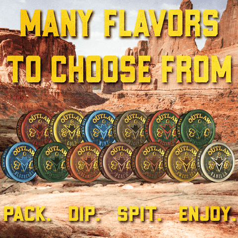 Outlaw Wintergreen Pouches - 6 Pack