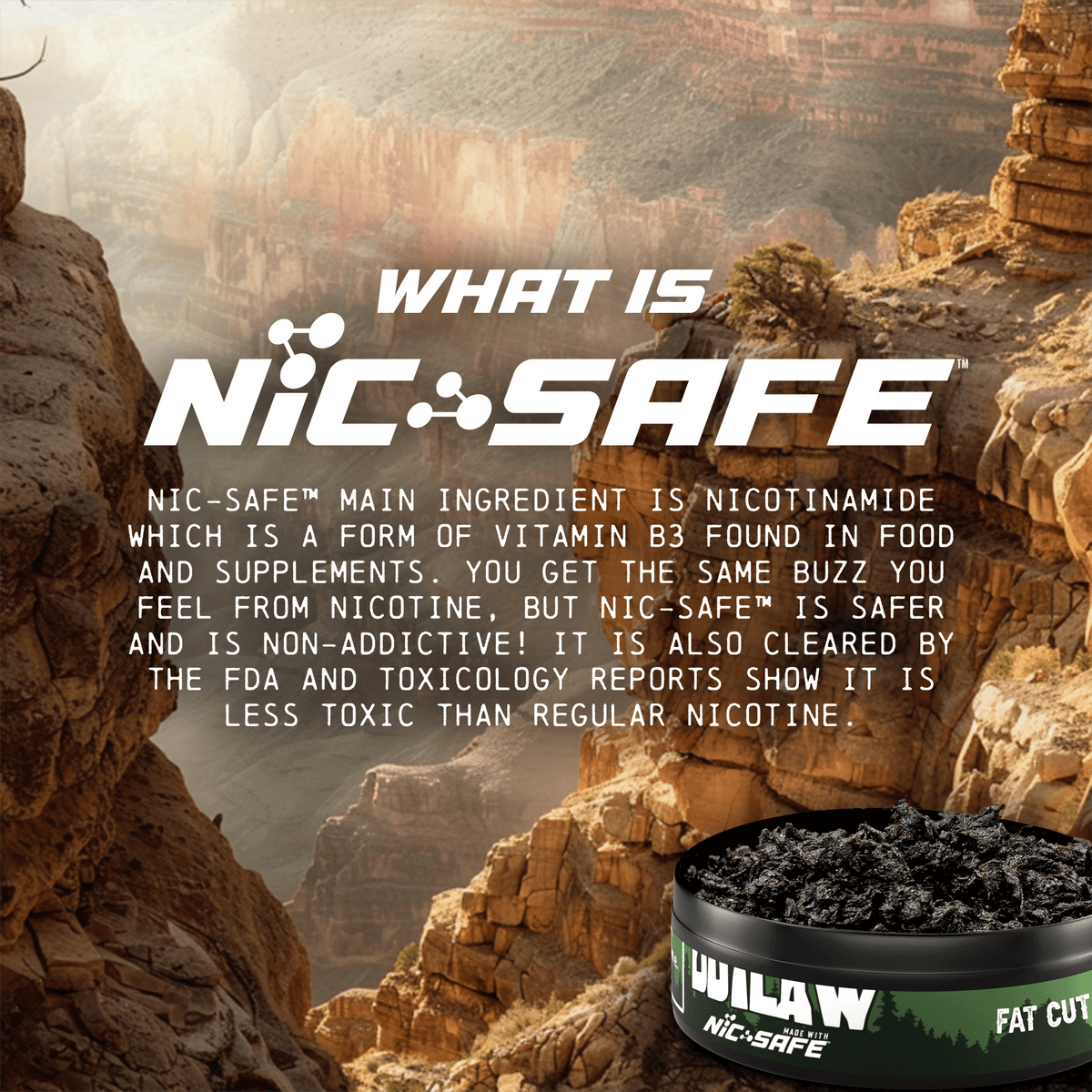 First Pouch Dip Shop Tobacco Free Dip Brands - Long Cut and Pouches – Outlaw Dip ...
