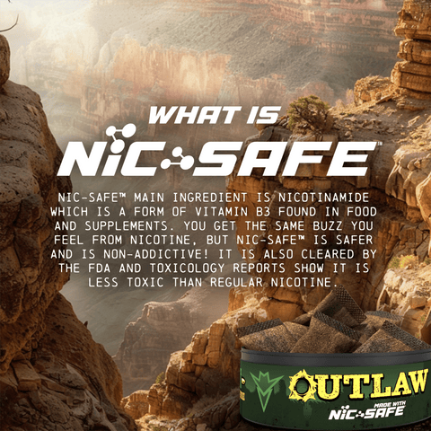 Outlaw Wintergreen Pouches - 6 Pack
